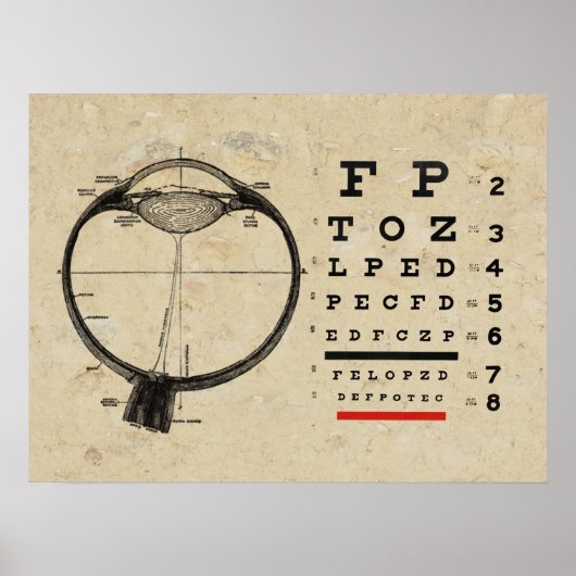 Optometrie Poster Oftalmoloog (Voorkant)
