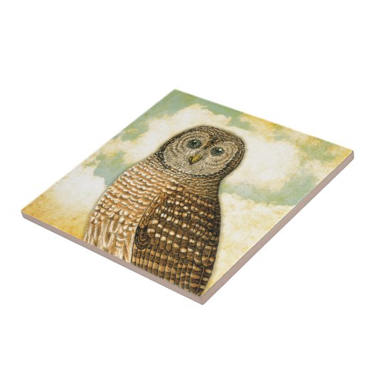  optrekken met wolken tegeltje (Zijkant)