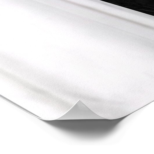 Opulente witte en zwarte bollen poster (Hoek)