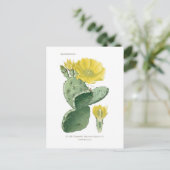 Opuntia vulgaris briefkaart (Staand voorkant)