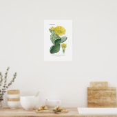 Opuntia vulgaris poster (Keuken)