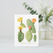Opuntias Briefkaart (Staand voorkant)