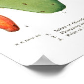 Opuntias Poster (Hoek)