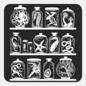 OPUS Curiosity Cabinet Vierkante Sticker (Voorkant)