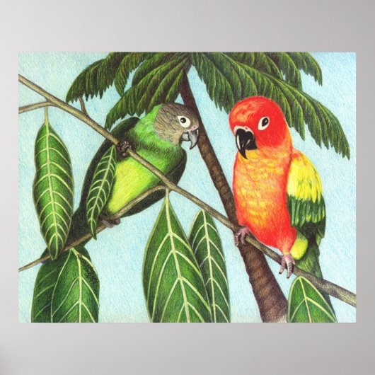 Opus en Monster Poster (Voorkant)