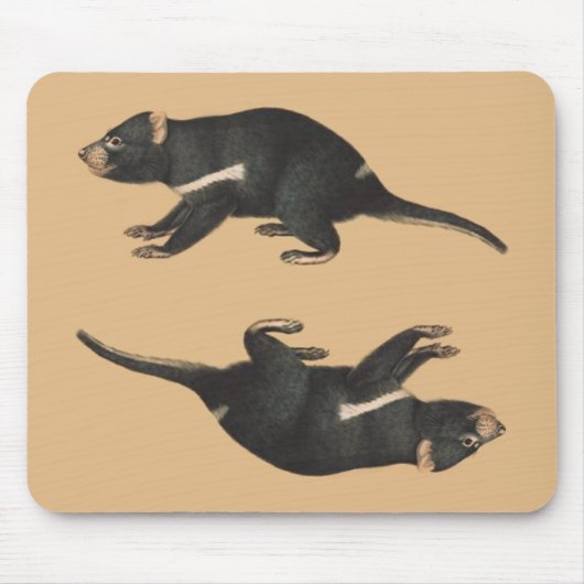 OPUS Tassie Devil: Op de rand van uitsterven Muismat (Voorkant)