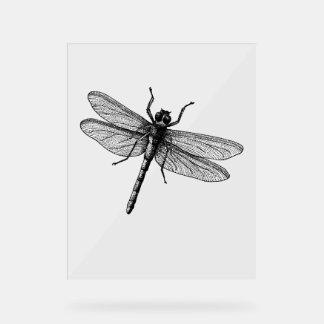 Opvallend Dragonfly accessoire Acryl Bord
