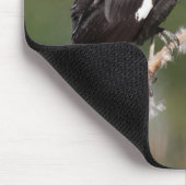 Opvallend gele zwarte vogel in de moeras muismat (Hoek)