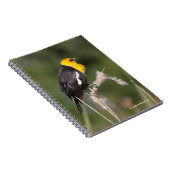 Opvallend gele zwarte vogel in de moeras notitieboek (Rechterzijde)