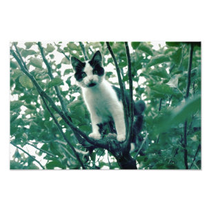 Opvallend gevoel van helderheid foto afdruk