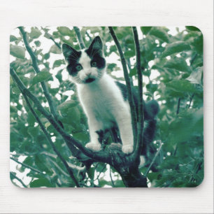 Opvallend gevoel van helderheid muismat