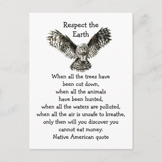 Opvallend Owl Respect de Aarde Native American Briefkaart (Voorkant)