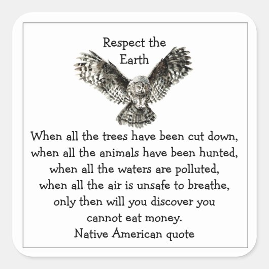 Opvallend Owl Respect de Aarde Native American Vierkante Sticker (Voorkant)
