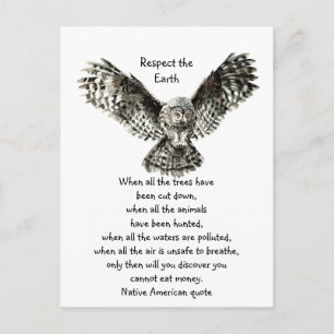 Opvallend owl Respect Earth Inheemse Amerikaanse C Briefkaart