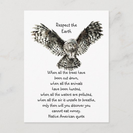 Opvallend owl Respect Earth Inheemse Amerikaanse C Briefkaart (Voorkant)