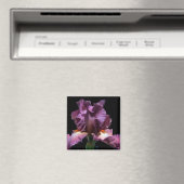 Opvallend Paars Iris Magneet (Insitu (Vaatwasser))