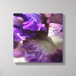 Opvallend Paars, Violet en Mauve Iris Abstract Canvas Afdruk