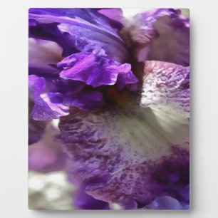 Opvallend Paars, Violet en Mauve Iris Abstract Fotoplaat