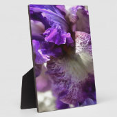 Opvallend Paars, Violet en Mauve Iris Abstract Fotoplaat (Zijkant)