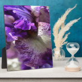 Opvallend Paars, Violet en Mauve Iris Abstract Fotoplaat (Zijkant)