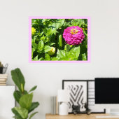 Opvallend roze Zinnia Poster (Thuiskantoor)