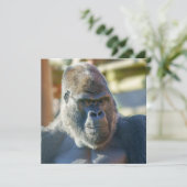 Opvallend Silverback (Staand voorkant)