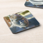 Opvallend Silverback Bier Onderzetter (Linkerzijde)