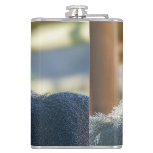 Opvallend Silverback Coffee Heupfles (Achterkant)