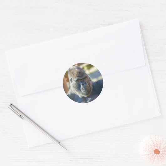 Opvallend Silverback Ronde Sticker (Envelop)