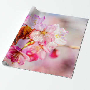Opvallende bundel roze Sakura-bloemen Cadeaupapier