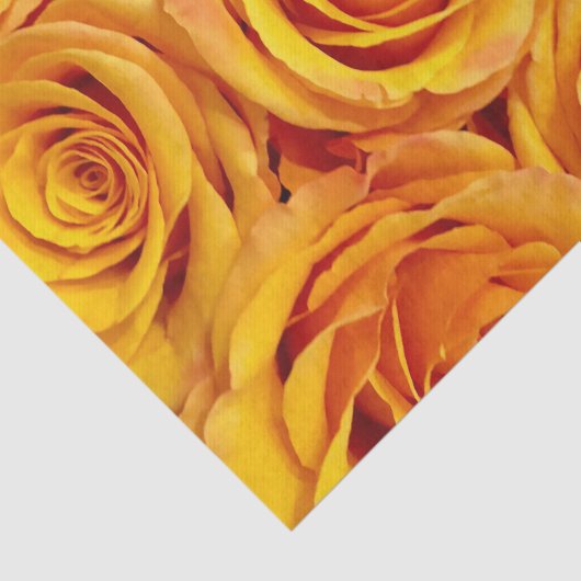 Opvallende gele rozen tissuepapier (Detail)