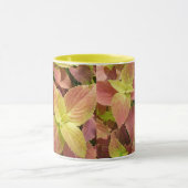 Opvallende lederen van Coleus Mok (Midden)