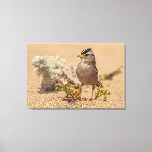 opvallende pose canvas afdruk (Voorkant)