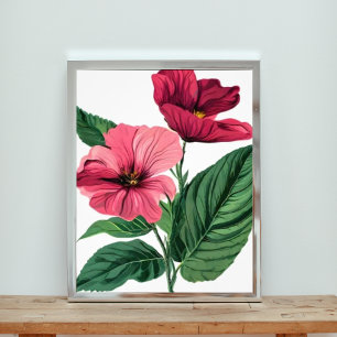 Opvallende roze Hibiscus Bloemen Foto Afdruk