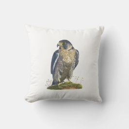 Opvallende slechtvalk kussen