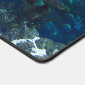 Opvallende zaagvis onder water bureaumat (Hoek)