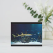 Opvallende zeeduivel briefkaart (Staand voorkant)