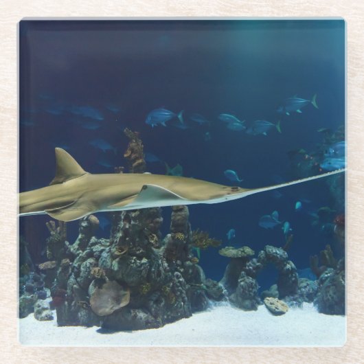 Opvallende zeeduivel glazen onderzetter (Voorkant)