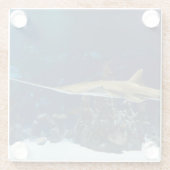 Opvallende zeeduivel glazen onderzetter (Achterkant)