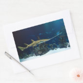 Opvallende zeeduivel rechthoekige sticker (Envelop)