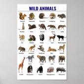 Opvoeding van wilde dieren poster (Voorkant)