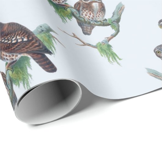  opvulpapier cadeaupapier (Rol Hoek)