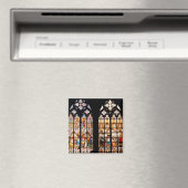 Opwaardering van de Magi Magneet (Insitu (Vaatwasser))
