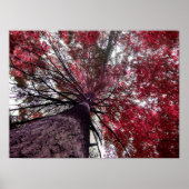 Opwaartse Bond Poster (Voorkant)