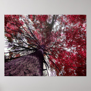 Opwaartse Bond Poster