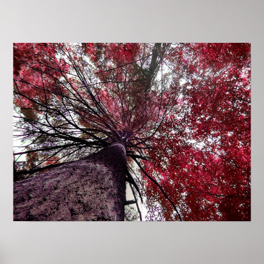 Opwaartse Bond Poster (Voorkant)