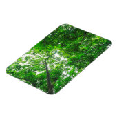 Opwaartse zicht op bomen magneet (Linkerzijde)