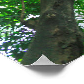Opwaartse zicht op bomen poster (Hoek)