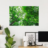 Opwaartse zicht op bomen poster (Thuiskantoor)