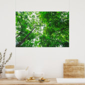 Opwaartse zicht op bomen poster (Keuken)